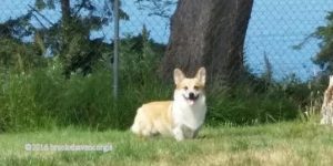 Outstanding in His Field