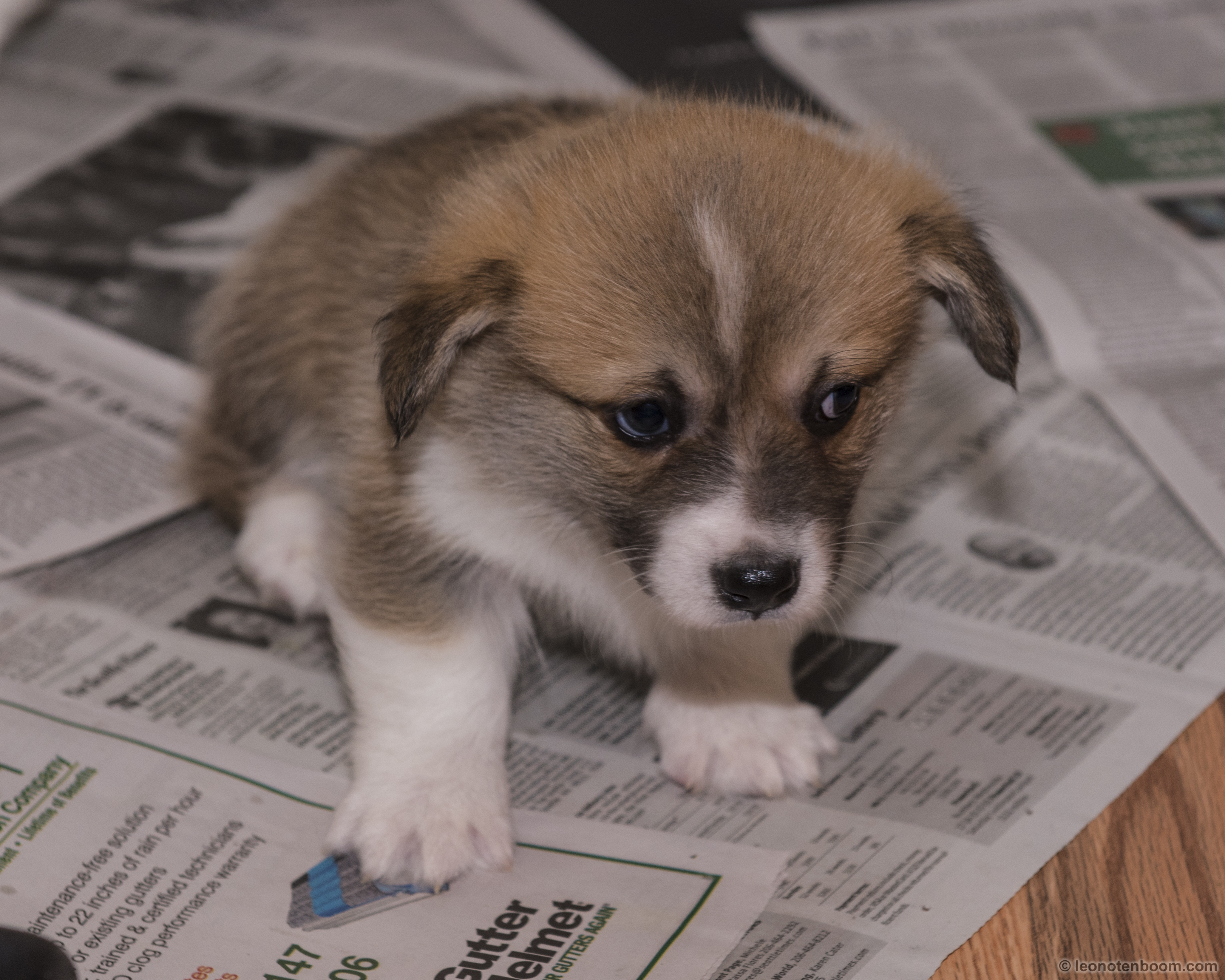 Side Eye